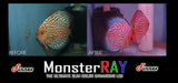 MonsterRAY Color Enhancing LED - Rice Family Aquatics