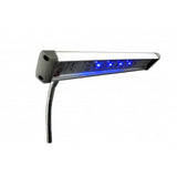 Planted+ Cliplight LED - Rice Family Aquatics