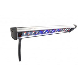 Planted+ Cliplight LED - Rice Family Aquatics