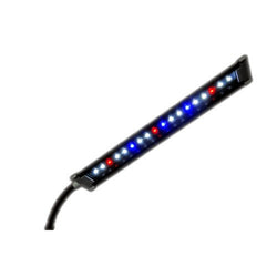 Stingray LED Cliplight - Rice Family Aquatics